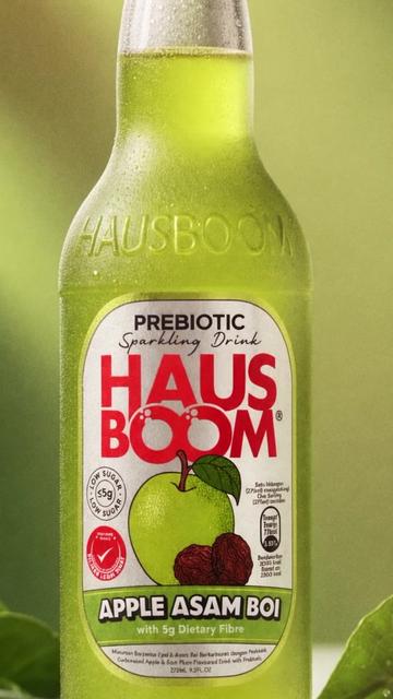 @hausboomhq