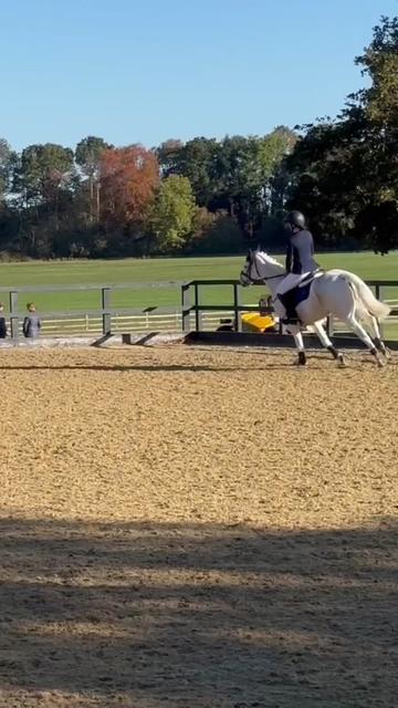 @amelia_showjumping2