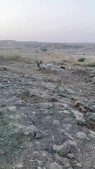 @Hanif baloch pahadi wala