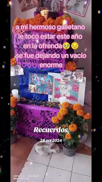 @💎viajando y trenzando🇲🇽