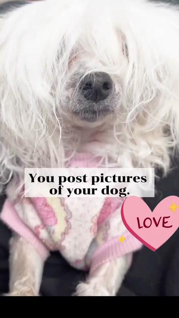 @🇸🇪🌸FrejaThePowderPuff🌸🇸🇪