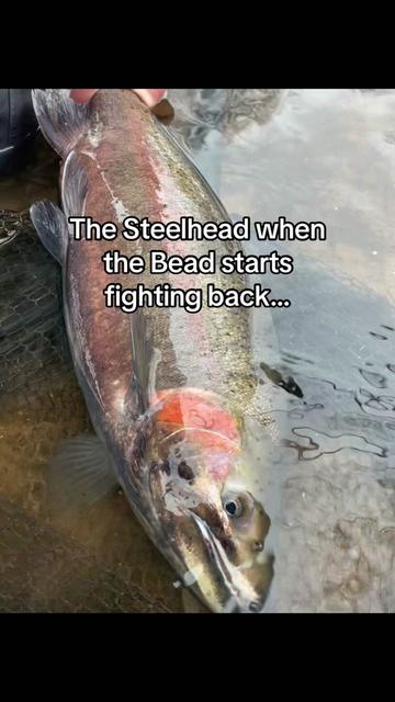 @First Light Fishing Co.