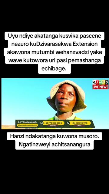@Blessing Nhamo