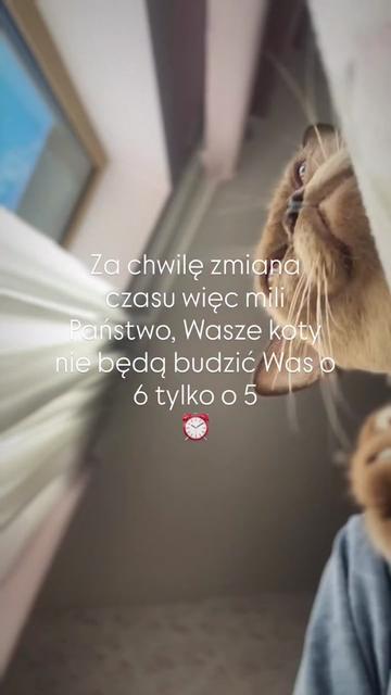 @Krzysztof Wójtowicz