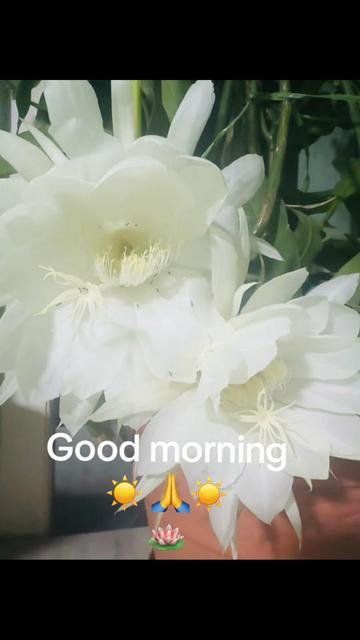 @Kabita Shrestha Karki