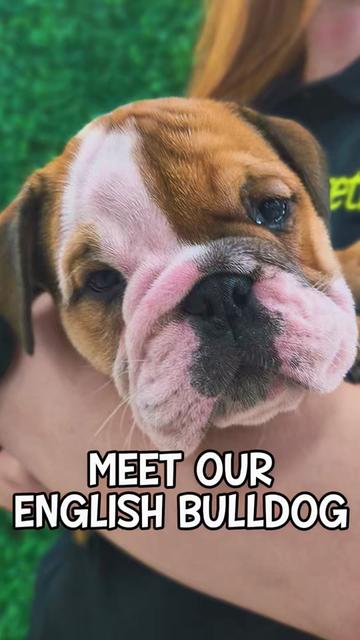 @Petland Oklahoma City