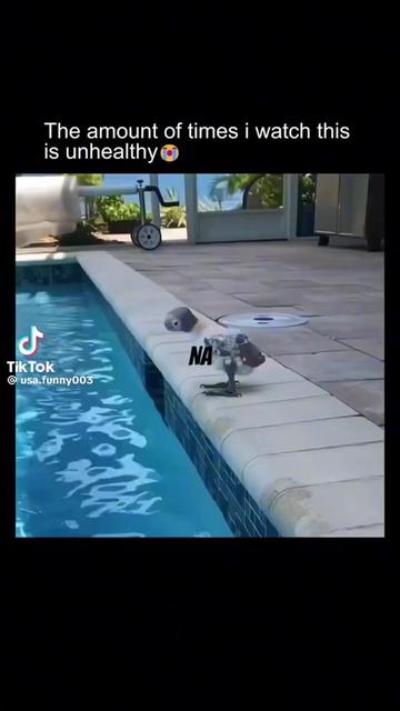 @DaFunnyBunny