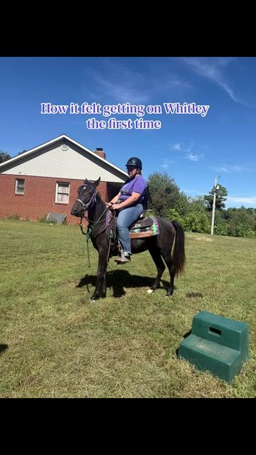 @EightyDollarStables