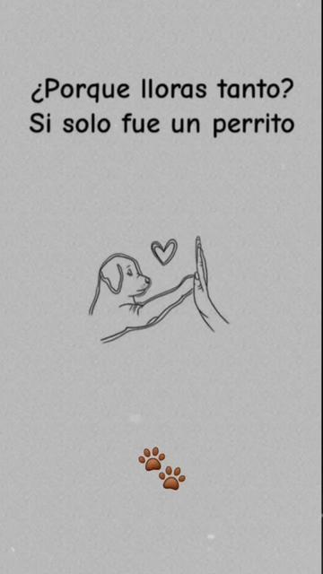 @Jazmin Larranaga