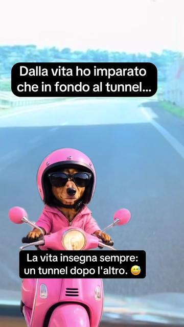 @antonellarizzo962