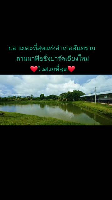 @Thai
