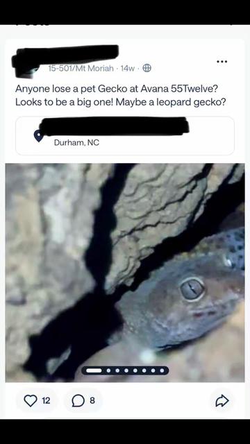 @BeWild Reptile Rescue