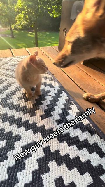 @ittybittyfarm1