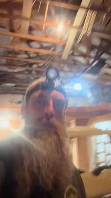 @Bearded bee man