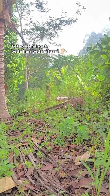 @Srindit kaltara 🦜