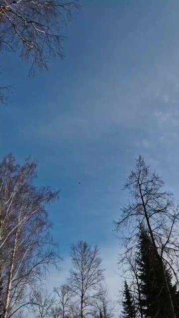 @Evgeniy
