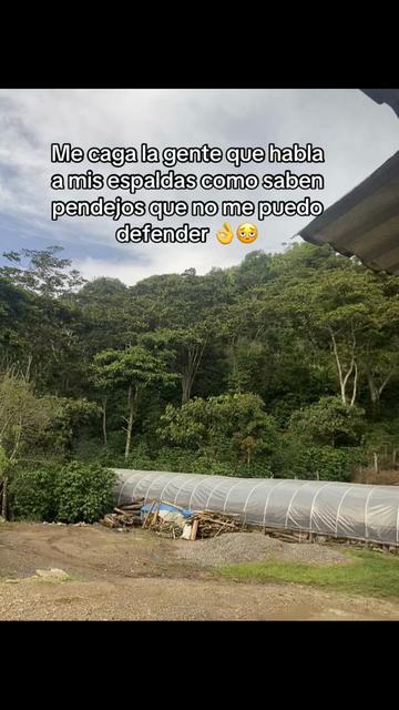 @NoheliA Mej&iacute;a 🌵🎈