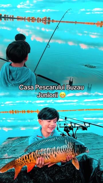 @Marius Velcu