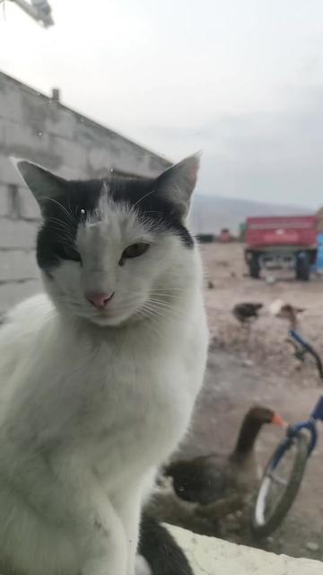 @Göksal Güneş