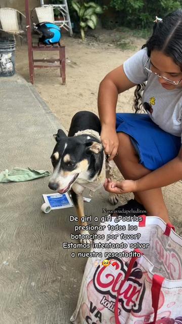 @NayeAyudaPeluditos
