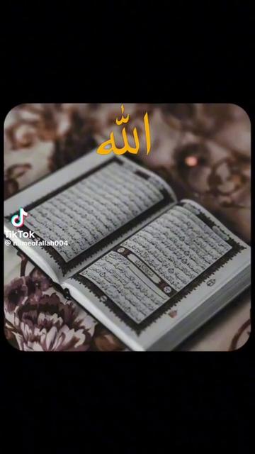@Kashifkhan12