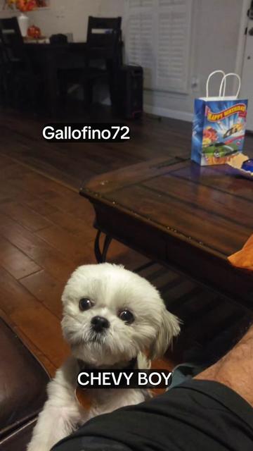 @ElGalloFino