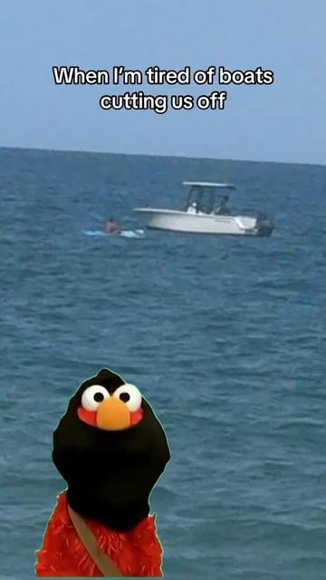 @772SHARKMAFIA