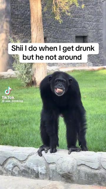 @💰