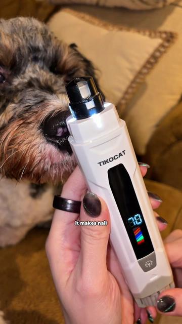 @Archie The Bernedoodle