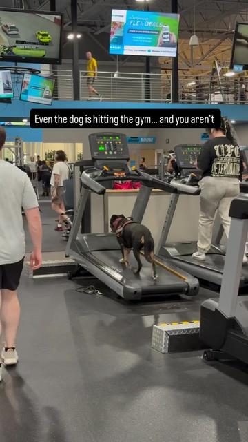@PetFitness