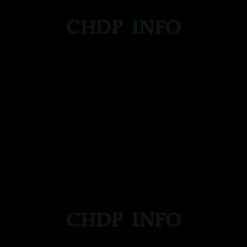 @Chechen Democratic Party ChDP