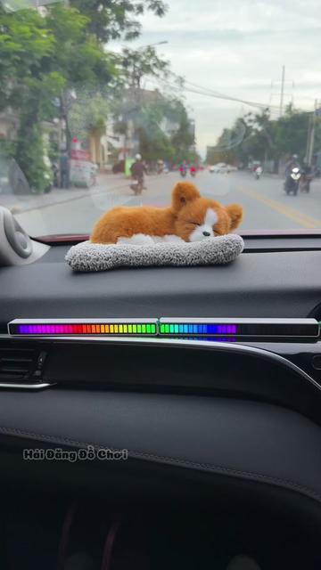 @Hải Đăng Đồ Chơi