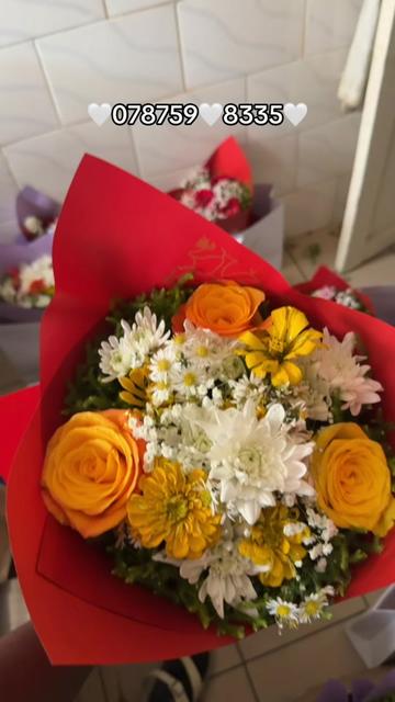 @La Vie en Rose225 💐