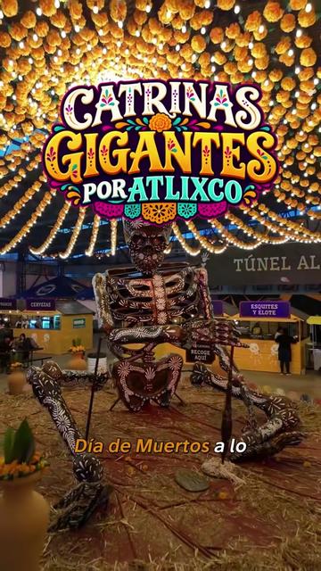 @TravelReportMX
