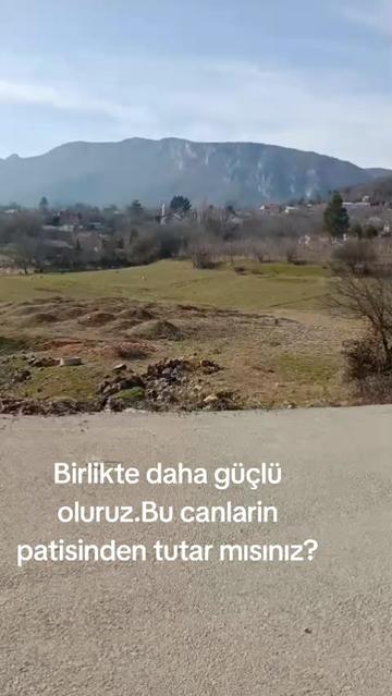 @Hayalperest_perii
