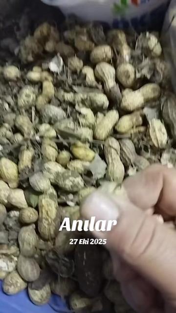 @hanım💐ağa🌹46