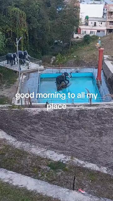@thapasuresh748