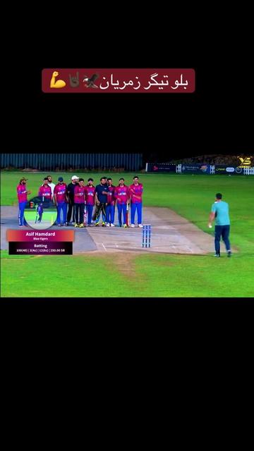 @BLuE TiGeRs💕🇦🇫