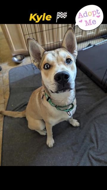 @Oakland Animal Services