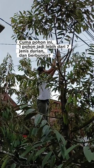 @LADIN ECOFARM STORE