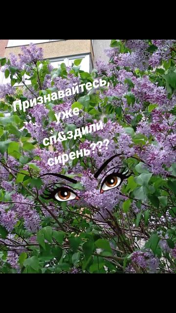 @Танюшка74