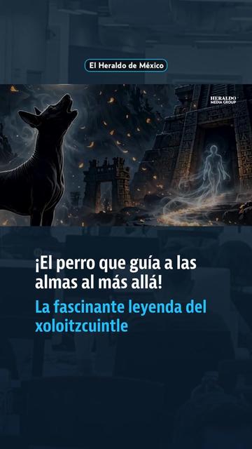 @elheraldodemexico
