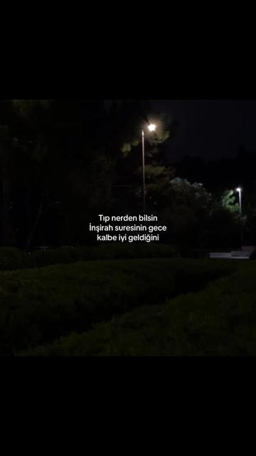 @𝓜.