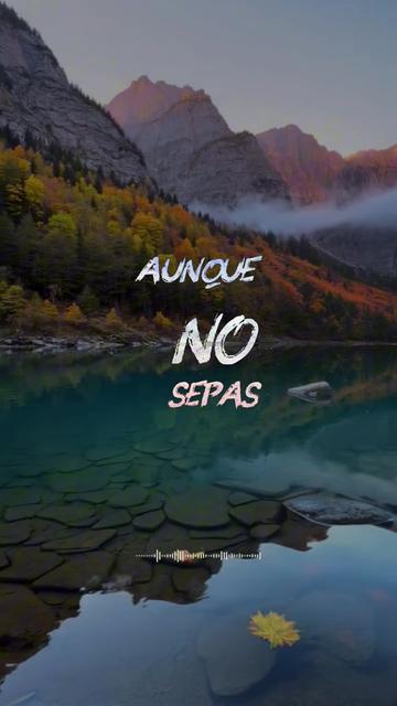 @Te La Dedico A Ti | Letras