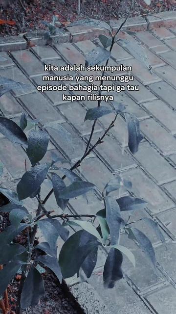 @Mba Dyn