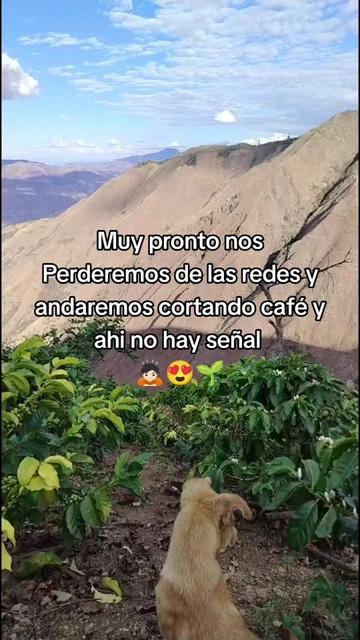 @yaneth