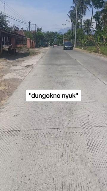 @cemongko🍉