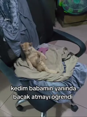 @CrazyBoy