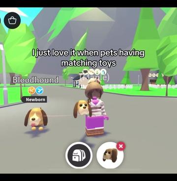@Maple