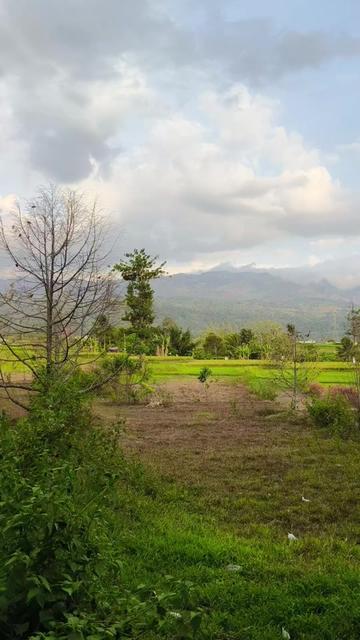 @Gendhis Putik Darmawan